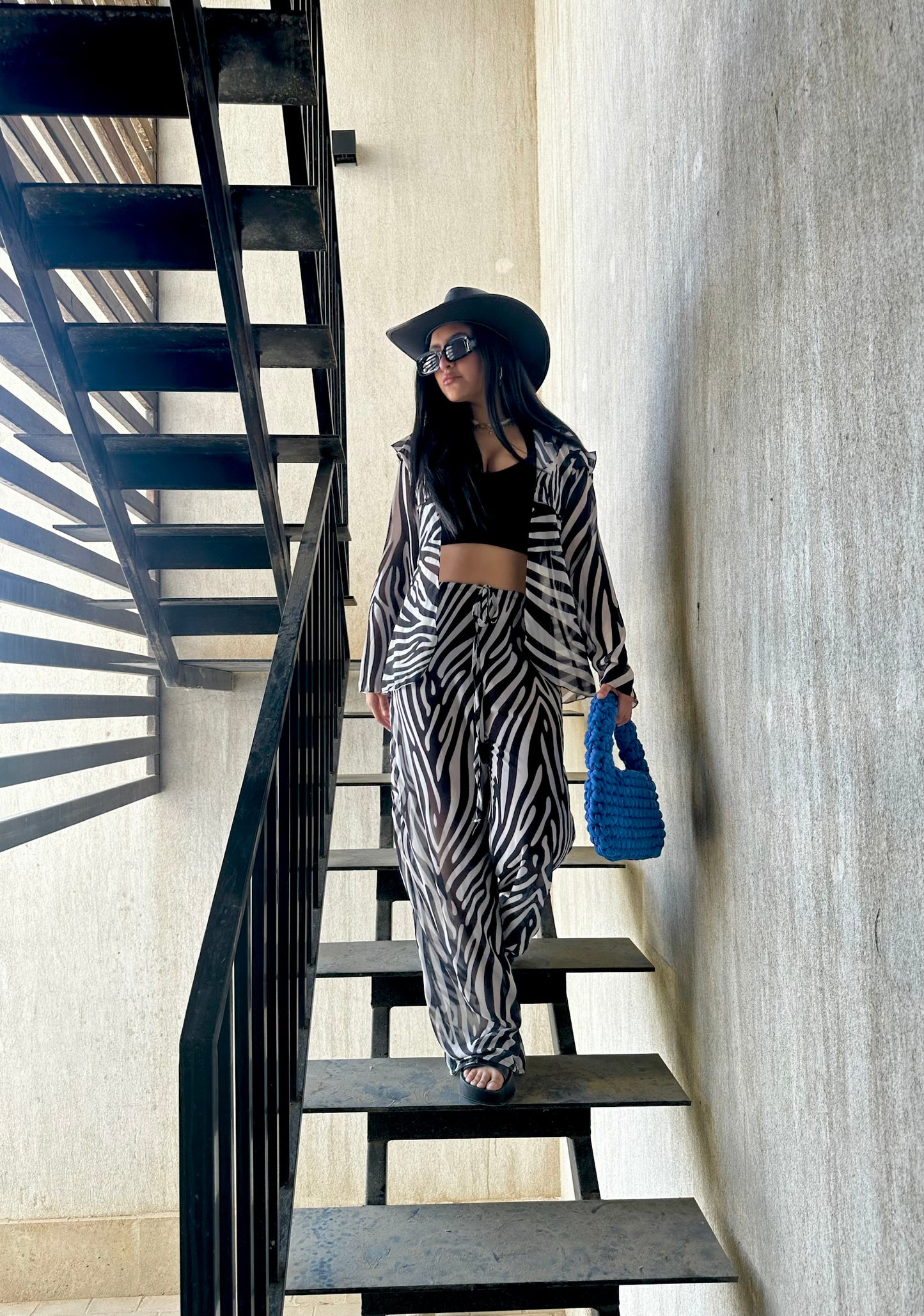 Zebra set