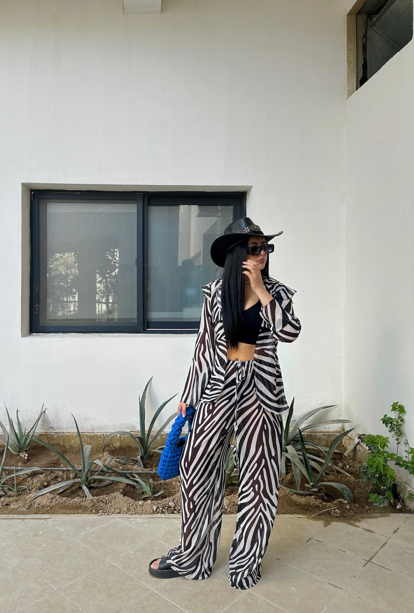 Zebra set