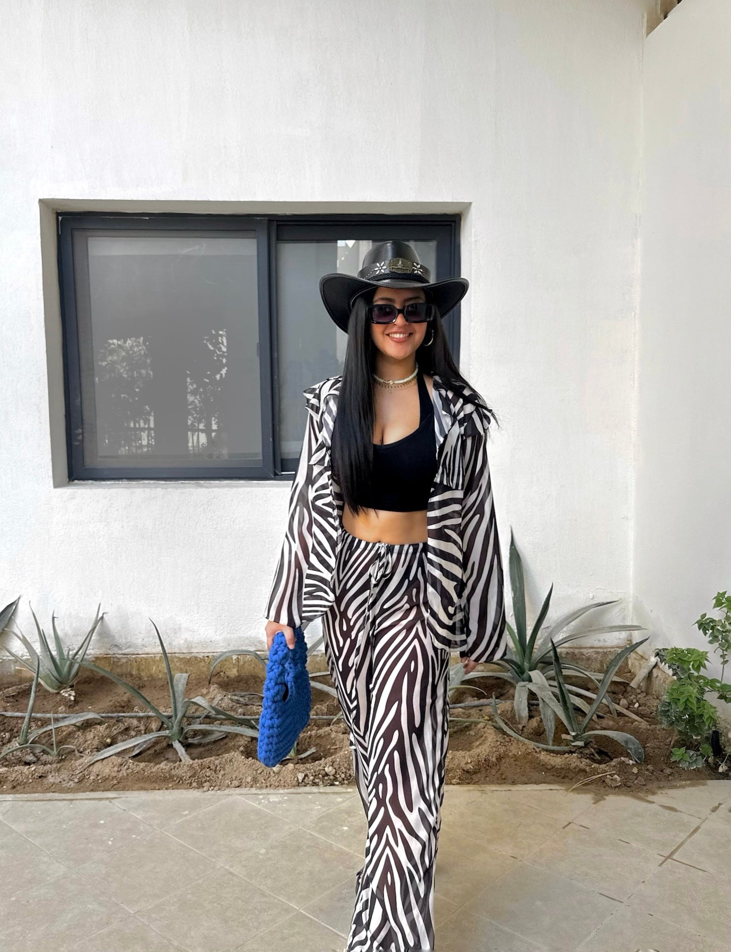 Zebra set