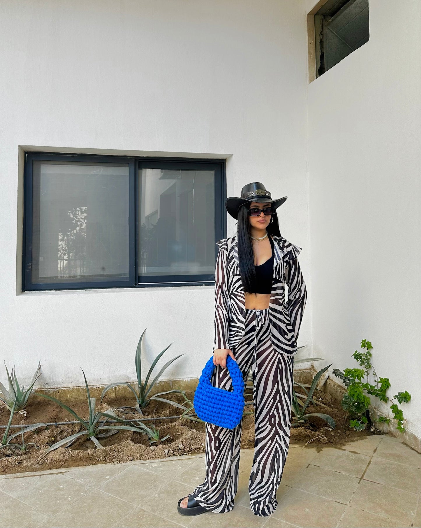 Zebra set