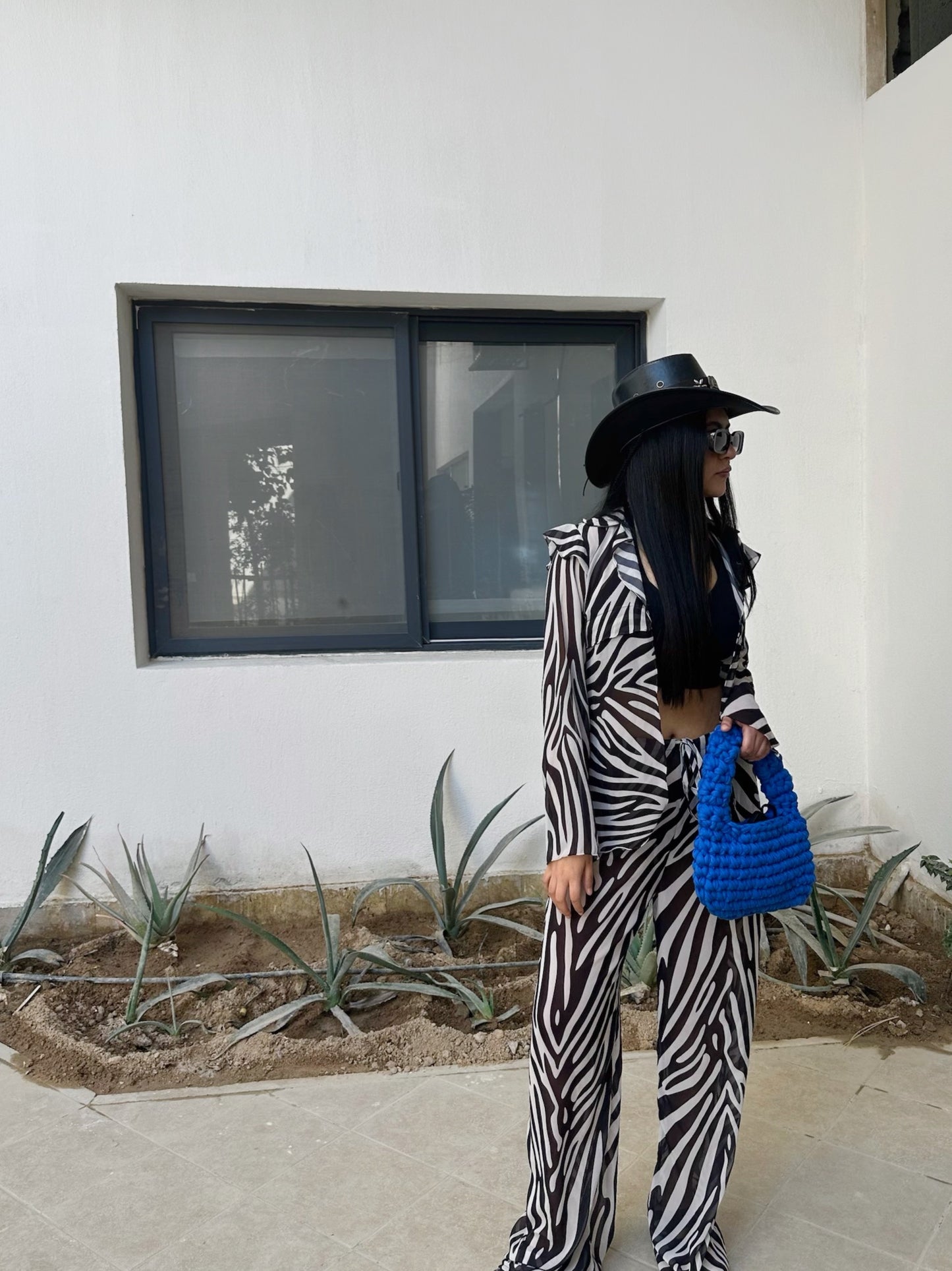Zebra set